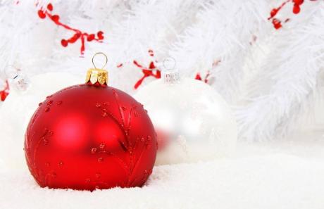 Menù Santo Natale 2022: Immagine