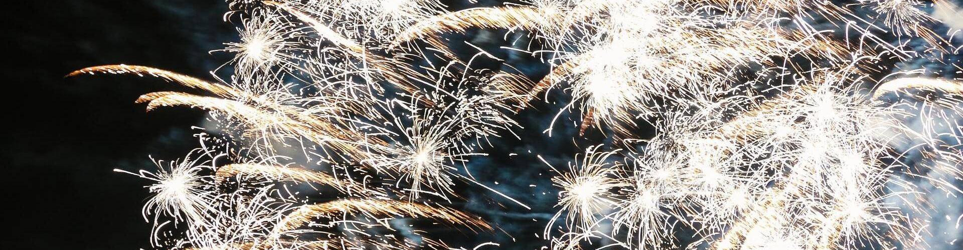 Menù Capodanno 2022: Immagine