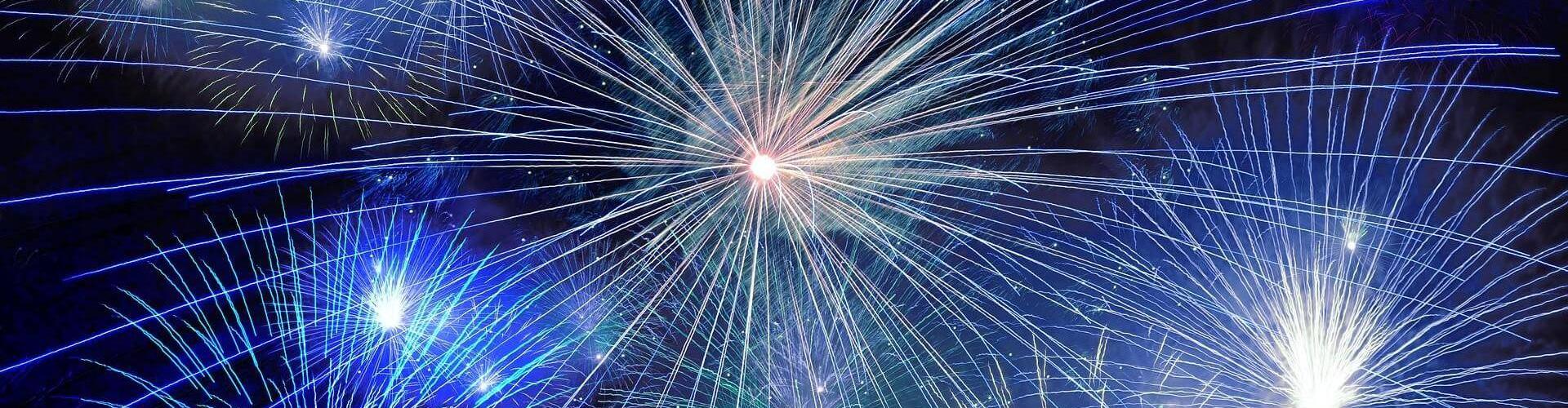 Menù Capodanno 2024: Immagine